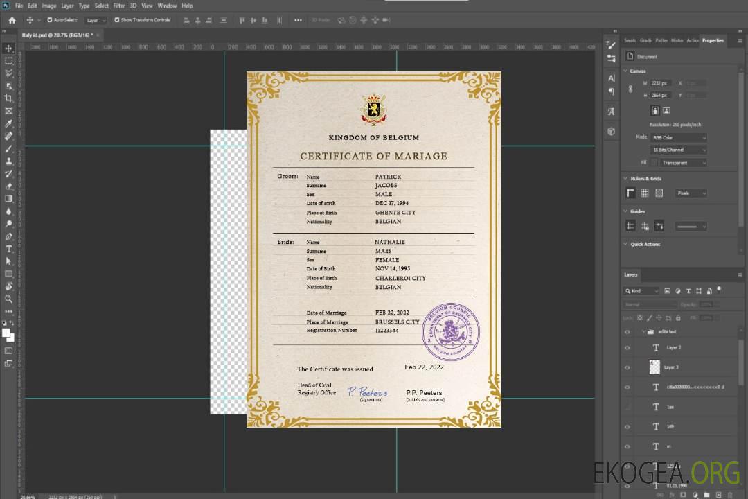Modèle PSD de certificat de mariage belge template Modèle PSD de certificat de mariage belge template